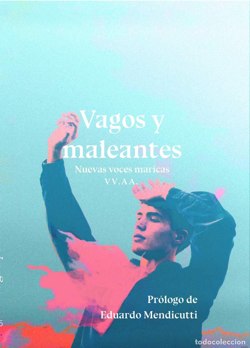 Libros de segunda mano: Vagos y maleantes Vv.Aa