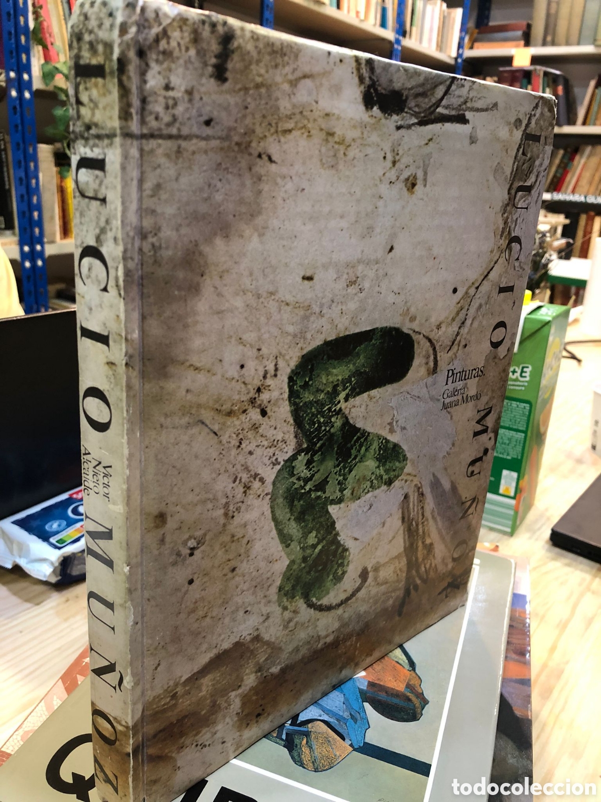 Gebrauchte B&uuml;cher: Lucio Mu&ntilde;oz. Pinturas - V&iacute;ctor Nieto Alcaide