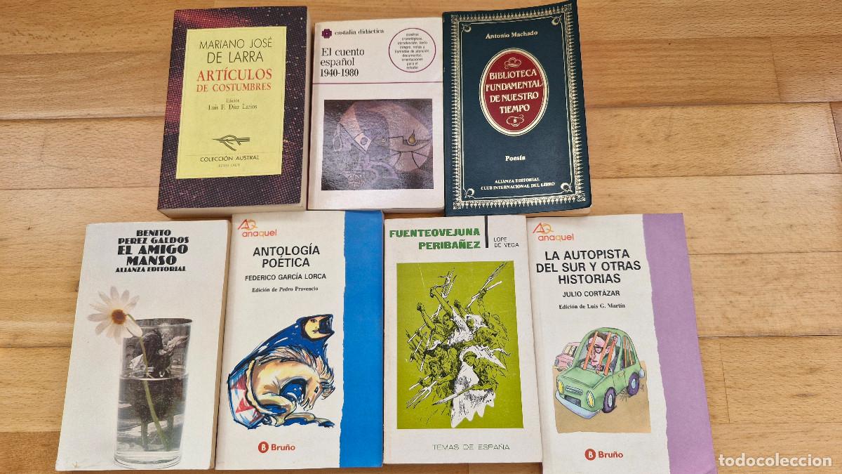 Libros de segunda mano: Lote 7 Libros Variados