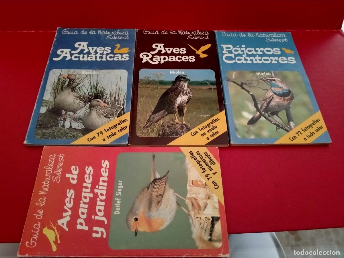 Libros de segunda mano: libros de aves guia naturaleza everest