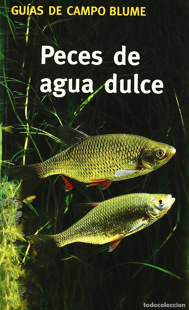Libros de segunda mano: Gu&iexcl;a Campo Peces agua dulce