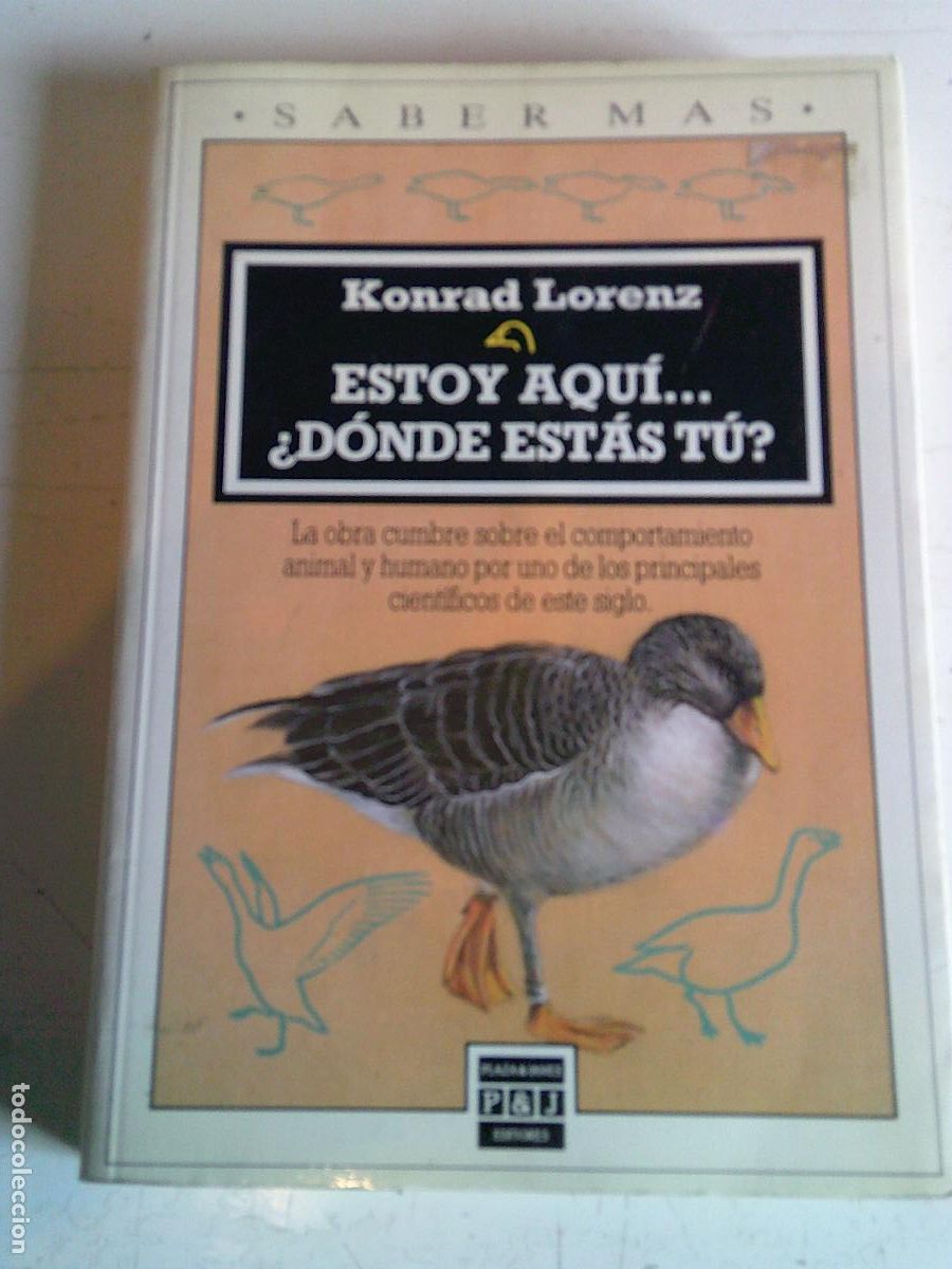 Libros de segunda mano: Estoy aqu&iacute;, &iquest; D&oacute;nde estas t&uacute;? Plaza & Janes