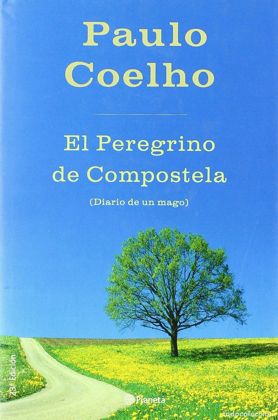 Libros de segunda mano: El peregrino de Compostela : diario de un mago