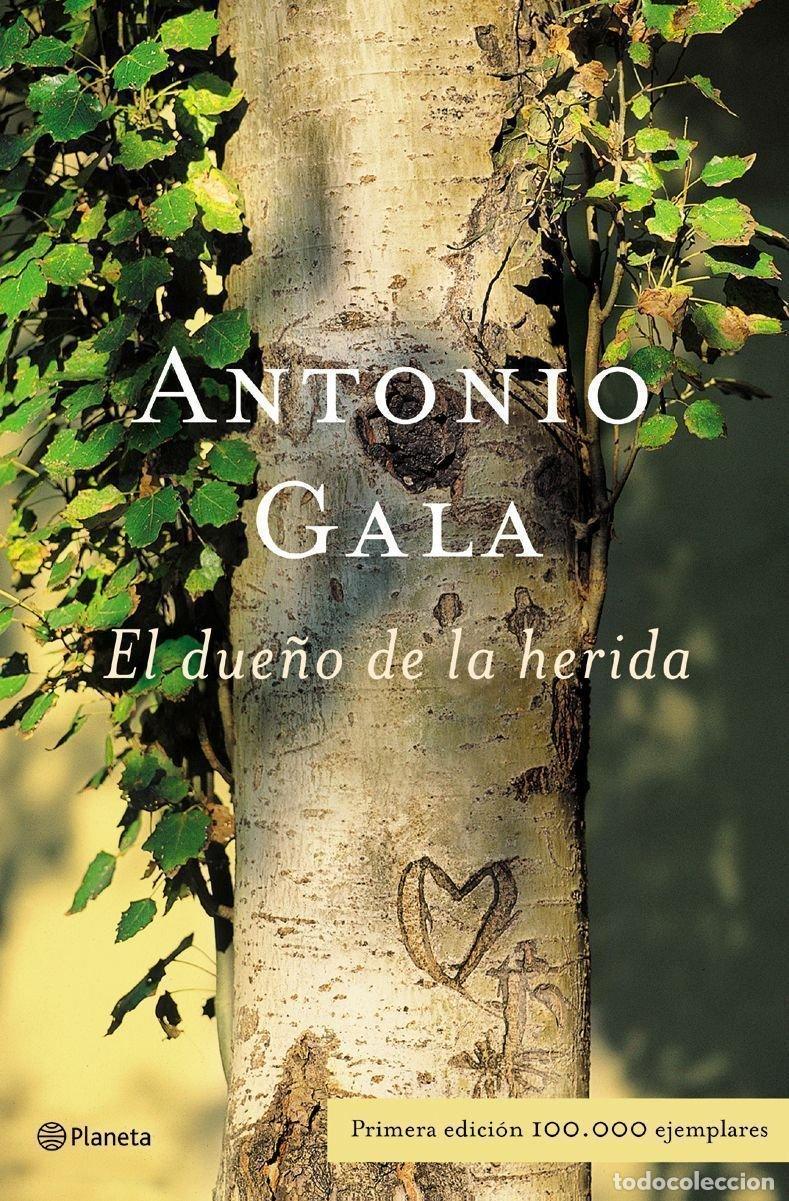 Libros de segunda mano: El due&ntilde;o de la herida (Autores Espa&ntilde;oles e Iberoamericanos)
