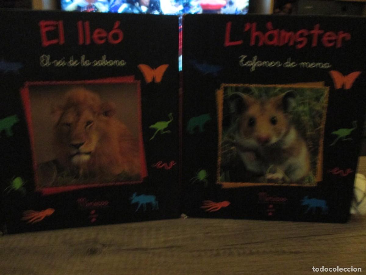 Libros de segunda mano: 309- Lote 2 Libros Minizoo: &rdquo;El lle&oacute;&rdquo; + &rdquo;L'h&agrave;mster&rdquo; (Catal&agrave;)