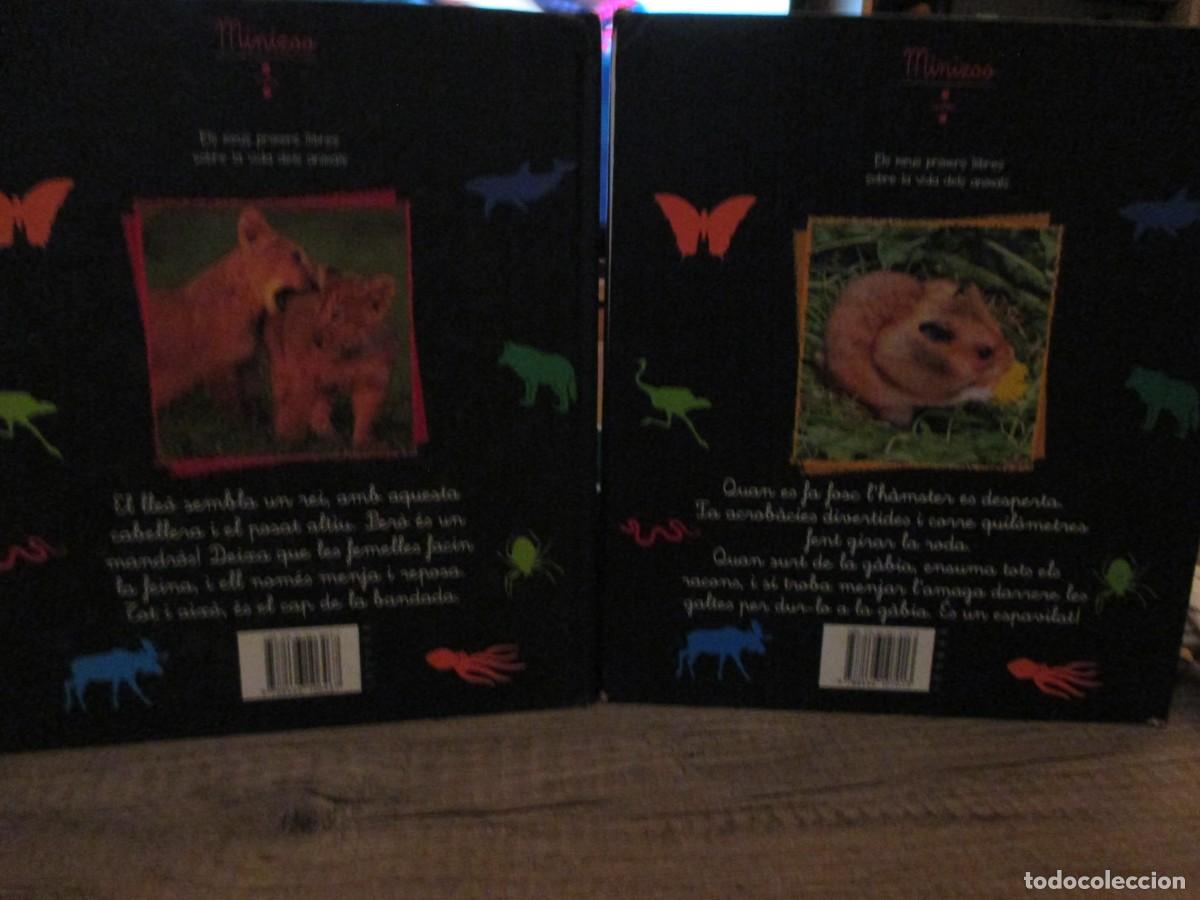 Libros de segunda mano: 309- Lote 2 Libros Minizoo: &rdquo;El lle&oacute;&rdquo; + &rdquo;Lh&agrave;mster&rdquo; (Catal&agrave;) - Foto 2