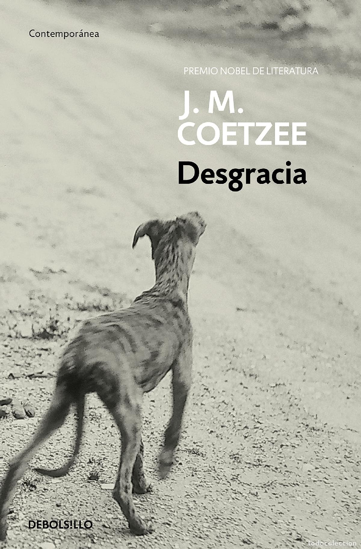 Libros de segunda mano: Desgracia (Contempor&aacute;nea)
