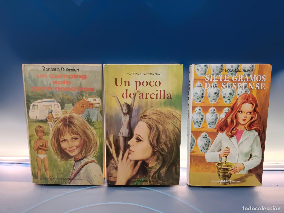 Libros de segunda mano: 3 libros, UN POCO DE ARCILLA. SIETE GRAMOS DE SUSPENSE. UN CAMPING SOLO PARA NOSOTROS. ed. Molino