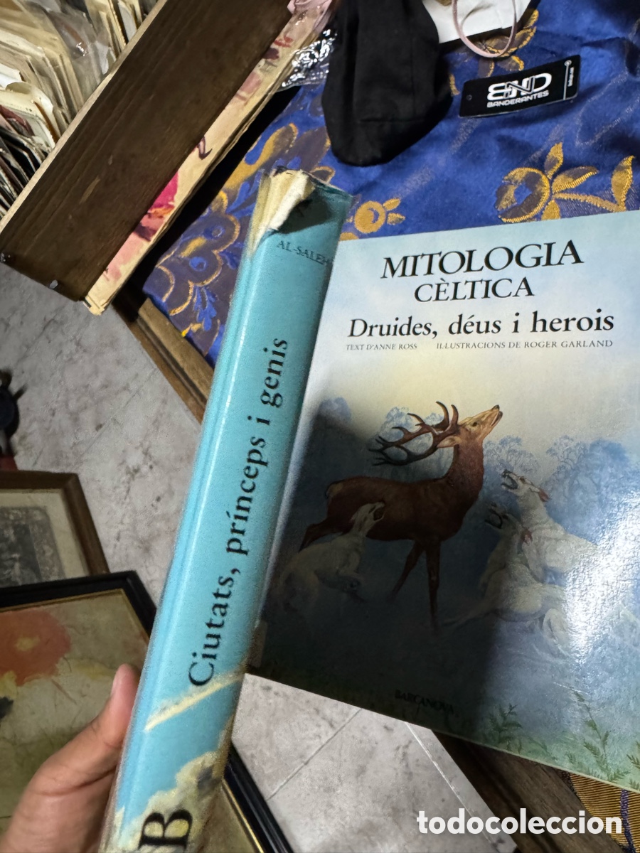 Libros de segunda mano: Mitolog&iacute;a &aacute;rab Ciutats pr&iacute;nceps i genis - Foto 7