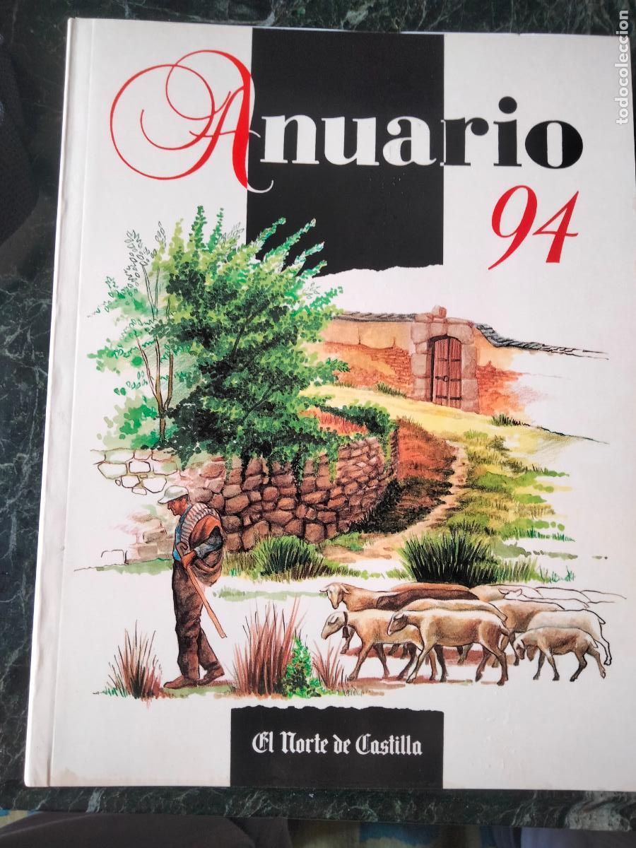 Libros de segunda mano: Anuario Castilla y Le&oacute;n 1994. &Aacute;mbito