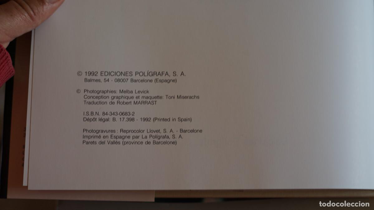 Libros de segunda mano: Barcelona jardin de sculptures - Foto 2