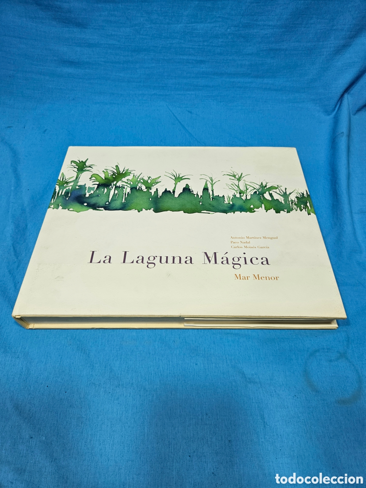 Libros de segunda mano: LA LAGUNA MAGICA. MAR MENOR. ANTONIO MARTINEZ MENGUAL. PACO NADAL. CARLOS MOISES GARCIA