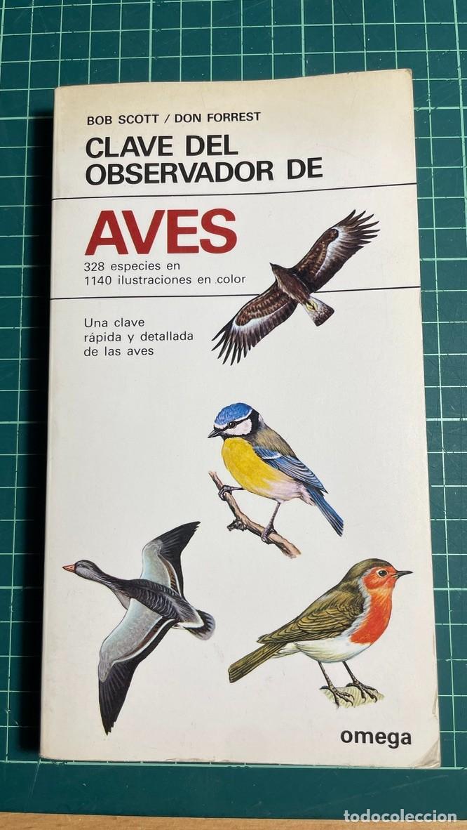 Libros de segunda mano: Clave del observador de Aves. Guia libro de Scott/Forrest. Omega