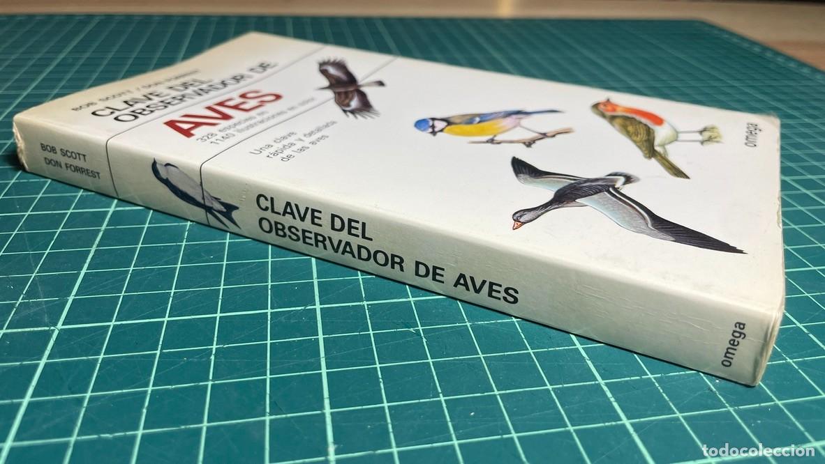Libros de segunda mano: Aves,Clave del observador de. Guia libro de Scott/Forrest. Omega - Foto 2