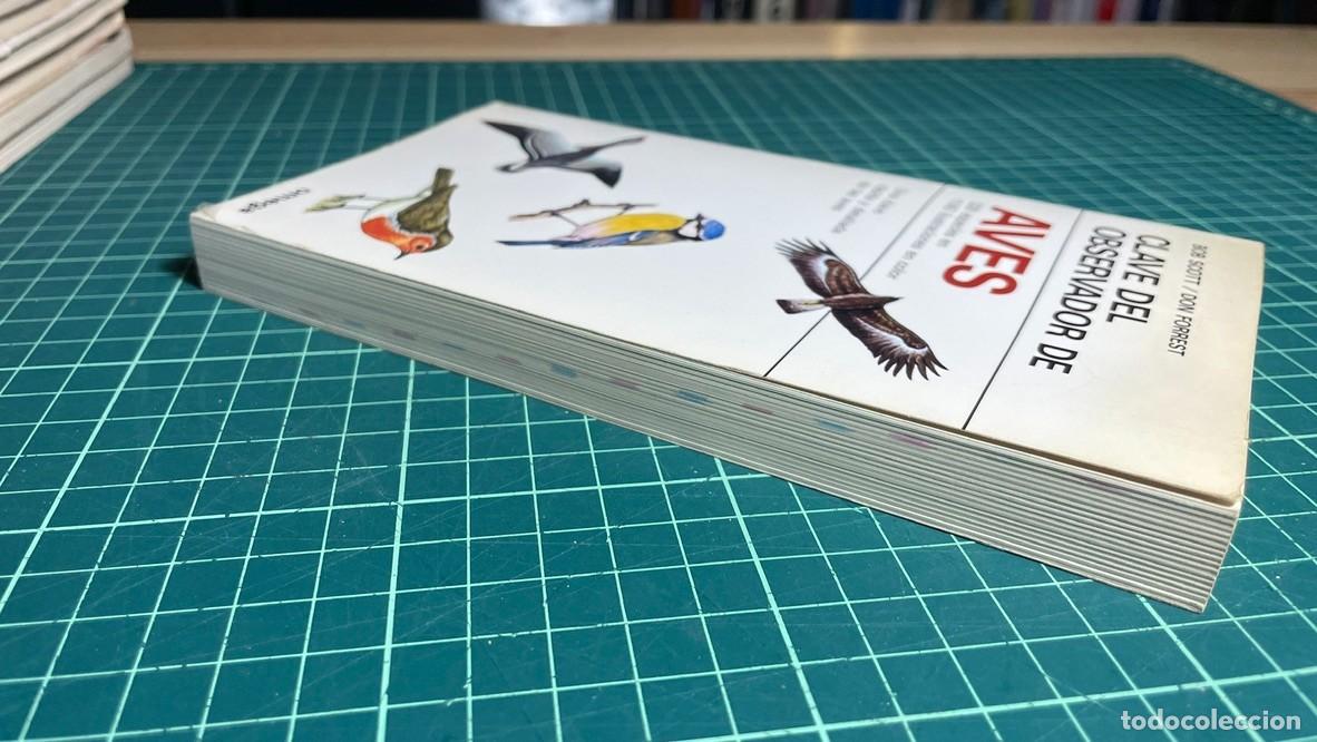 Libros de segunda mano: Aves,Clave del observador de. Guia libro de Scott/Forrest. Omega - Foto 3