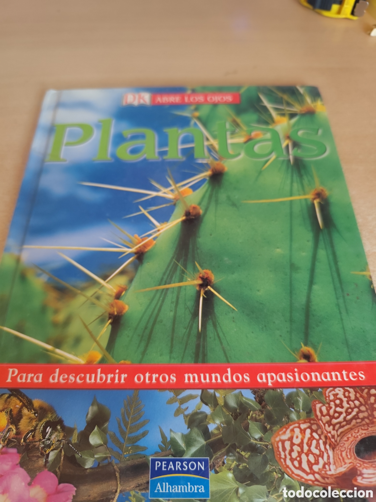 Gebrauchte B&uuml;cher: HABRE LOS OJOS PLANTAS RF325G