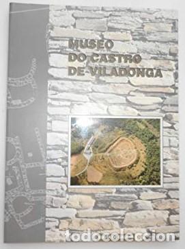 Libros de segunda mano: Museo Do Castro de Viladonga, Castro de Rei, Lugo - Arias Vilas, Felipe - Xunta de Galicia