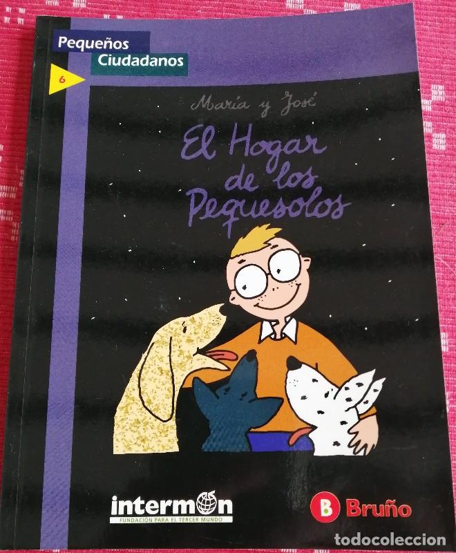 Libros de segunda mano: El Hogar de los Pequesolos - Velasco Jim&eacute;nez, Beatriz - Editorial Bru&ntilde;o - Peque&ntilde;os Ciudadanos, N&ordm; 6