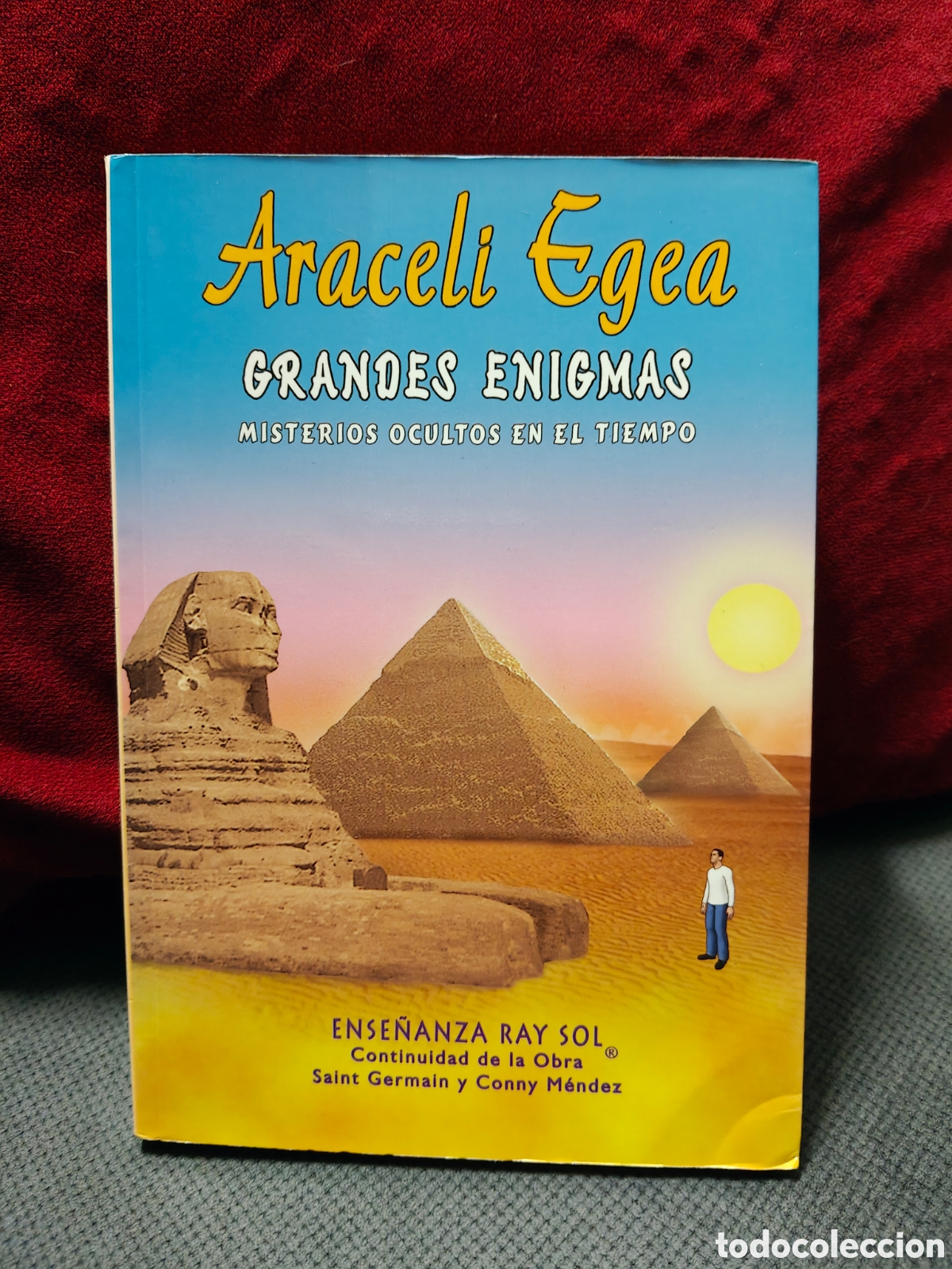 Libros de segunda mano: Grandes enigmas, Araceli Egea