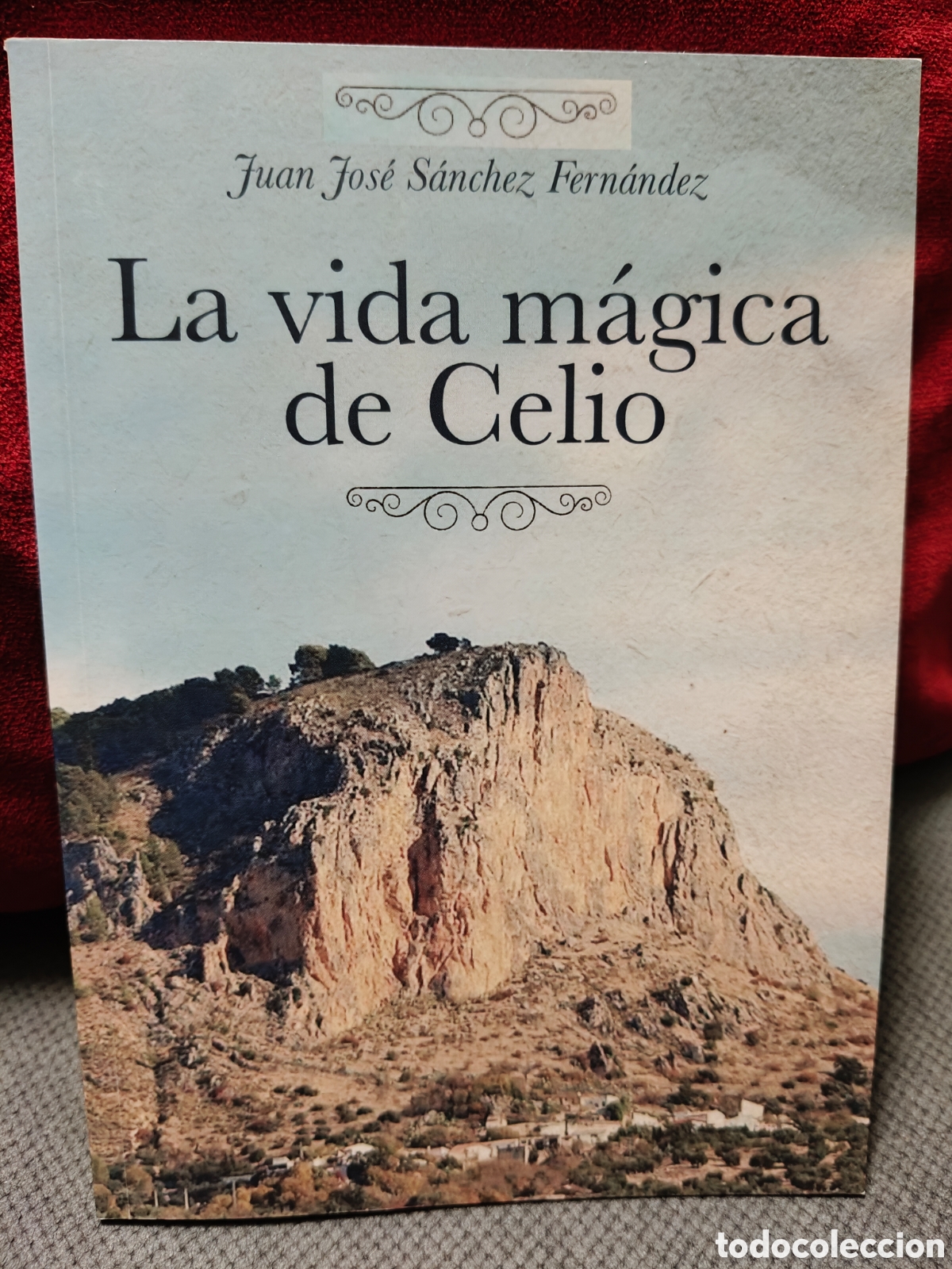 Libros de segunda mano: La vida m&aacute;gica de Celio, Juan Jos&eacute; S&aacute;nchez Fernandez