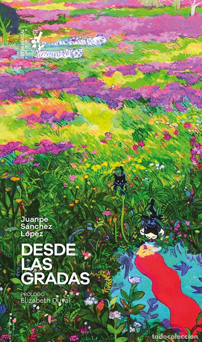 Libros de segunda mano: Desde las gradas: 10 (Letra Bastarda)