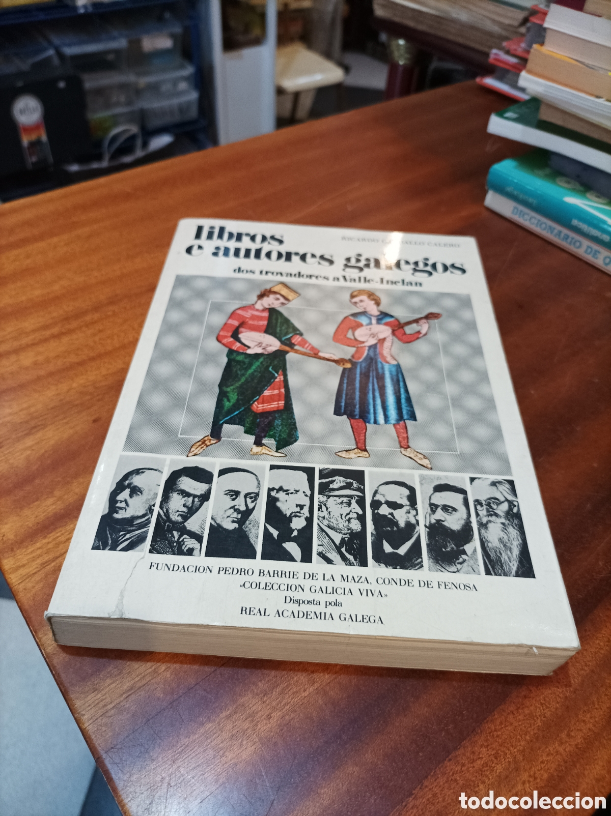 Libros de segunda mano: LIBROS E AUTORES GALEGOS DOS TROVADORES A VALLE -INCLAN.. COLECCI&Oacute;N GALICIA VIVA.