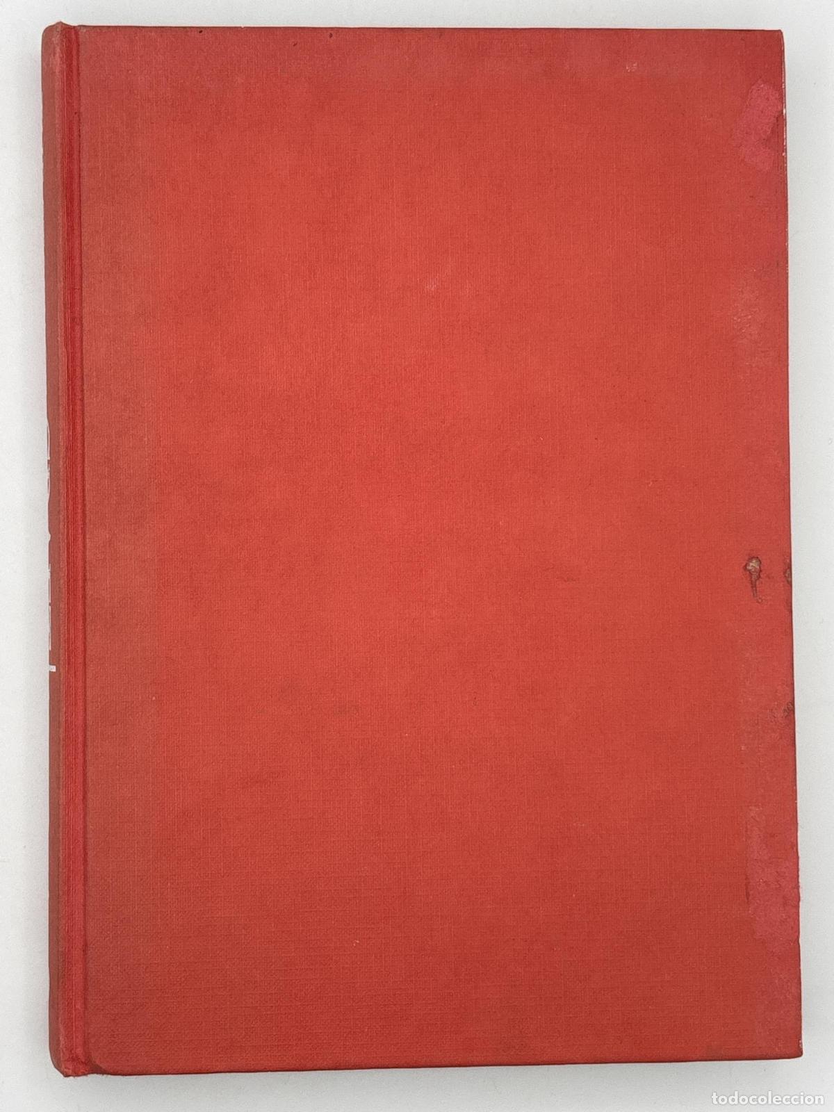 Libros de segunda mano: The Story of Craft : The Craftsman's Role in Society - Lucie-Smith, Edward