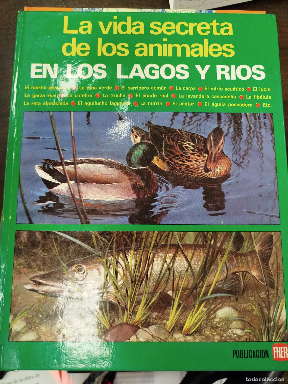 Libros de segunda mano: LA VIDA SECRETA DE LOS ANIMALES EN LOS LAGOS Y R&Iacute;OS - PUBLICACIONES FHER S.A.