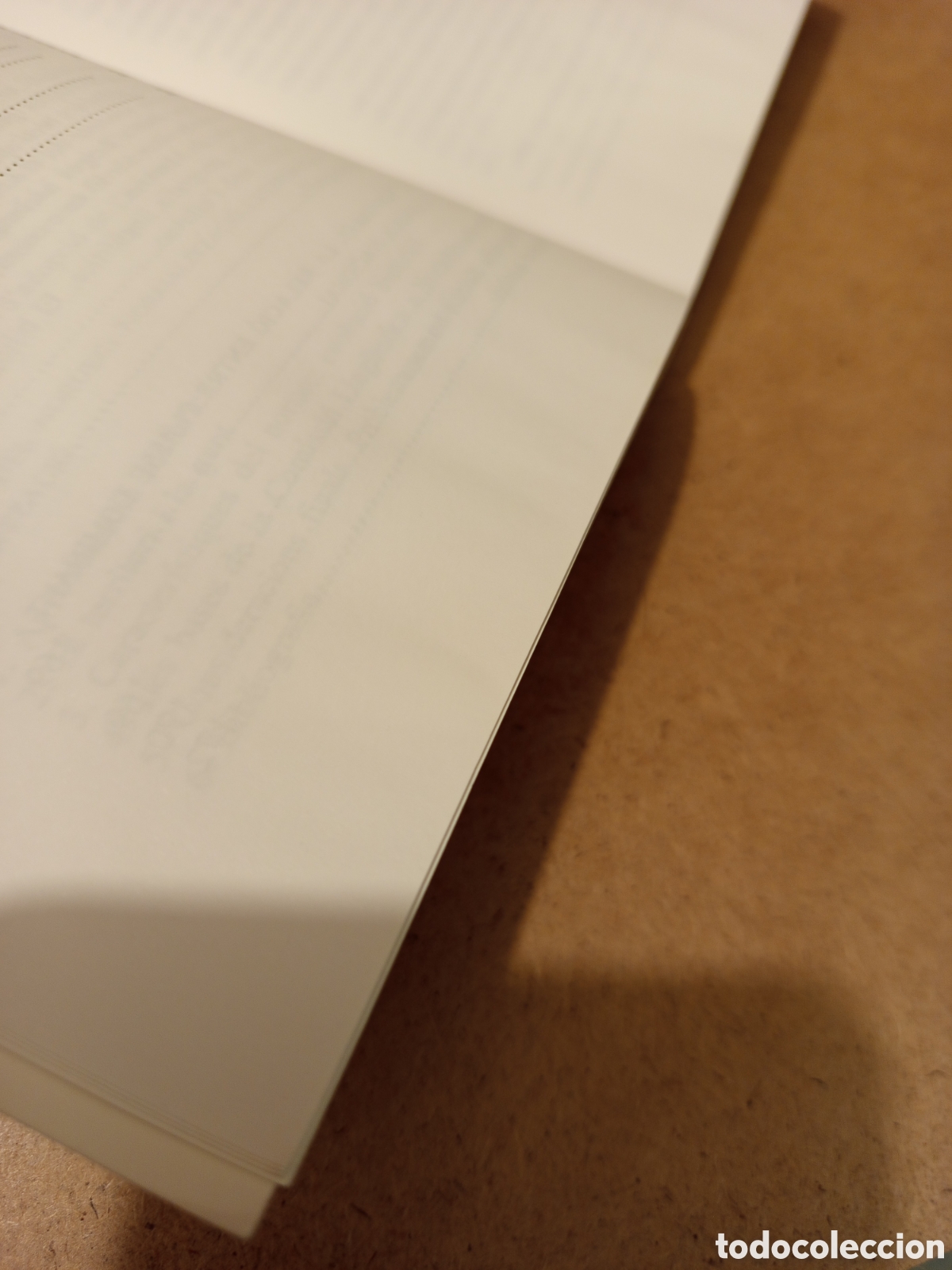 Libros de segunda mano: LES NORMALITZACIONS REEIXIDES (BERNAT JOAN I MARI) - Foto 7