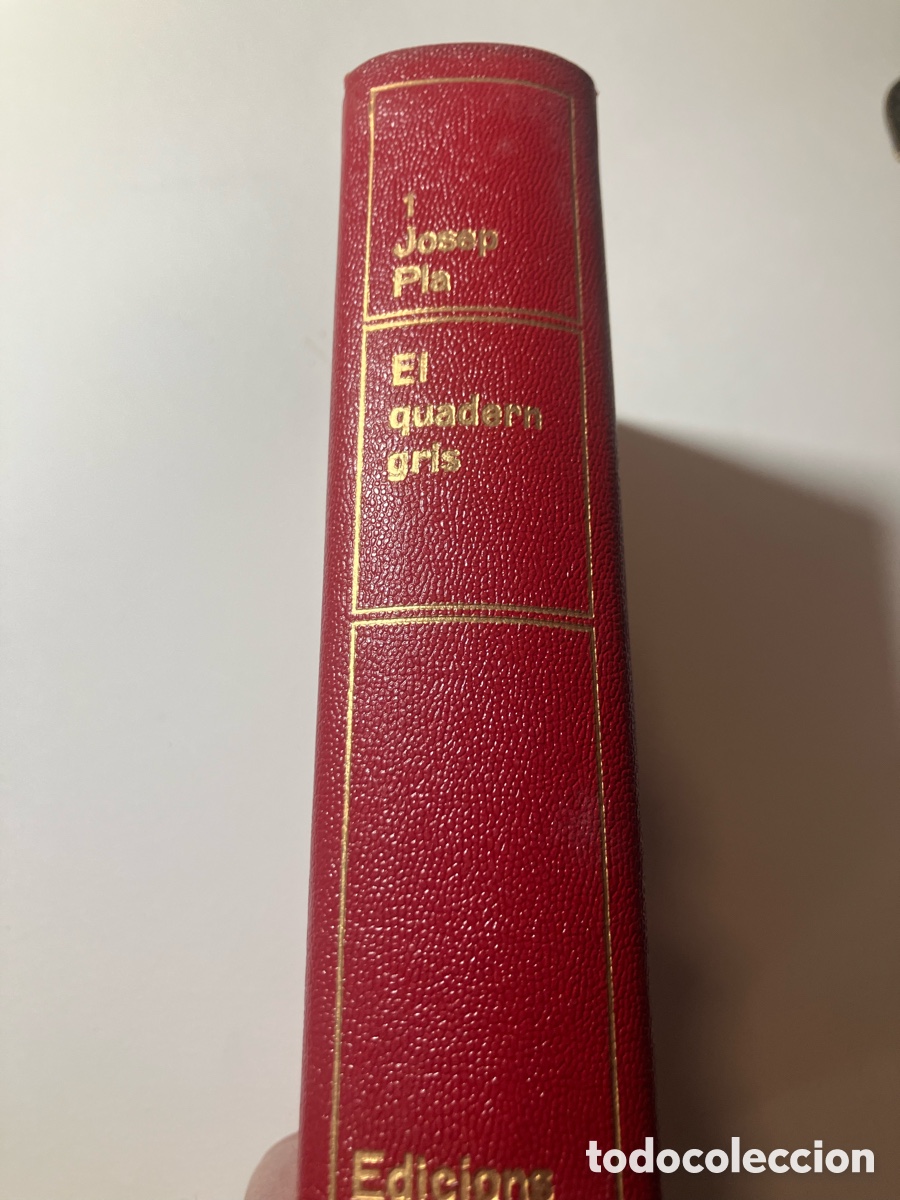 Libros de segunda mano: Josep Pla. El Quadern Gris