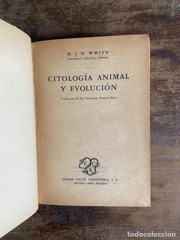 Libros de segunda mano: Citologia Animal y Evolucion - White M. J. D.