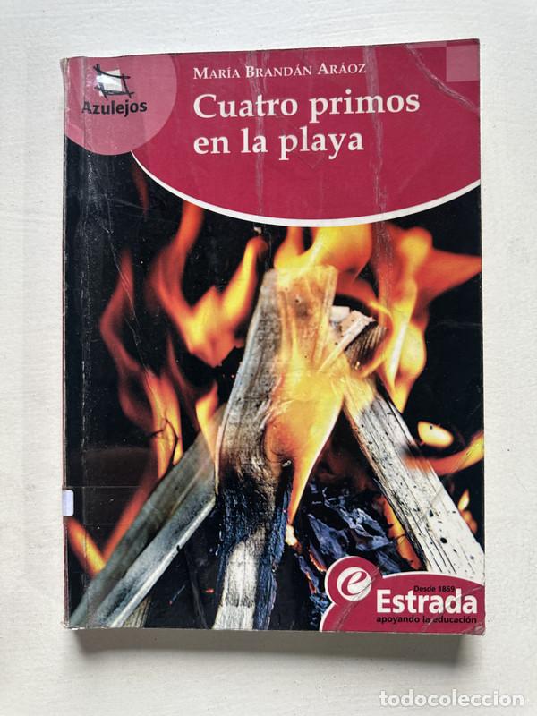 Libros de segunda mano: Cuatro primos en la playa - Brandan Araoz Maria - Foto 1
