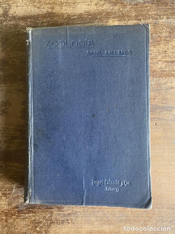 Libros de segunda mano: Zoologia - Gallardo Angel