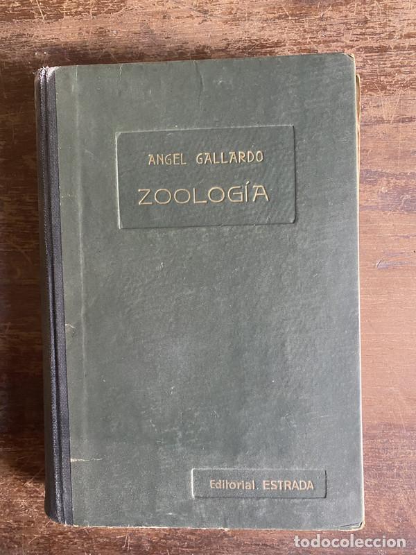 Libros de segunda mano: Zoologia Estrada - Gallardo Angel