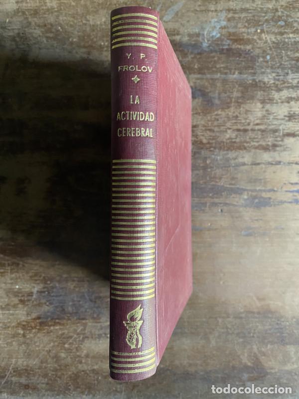 Libros de segunda mano: La Actividad Cerebral - Frolov Y. P. - Foto 1