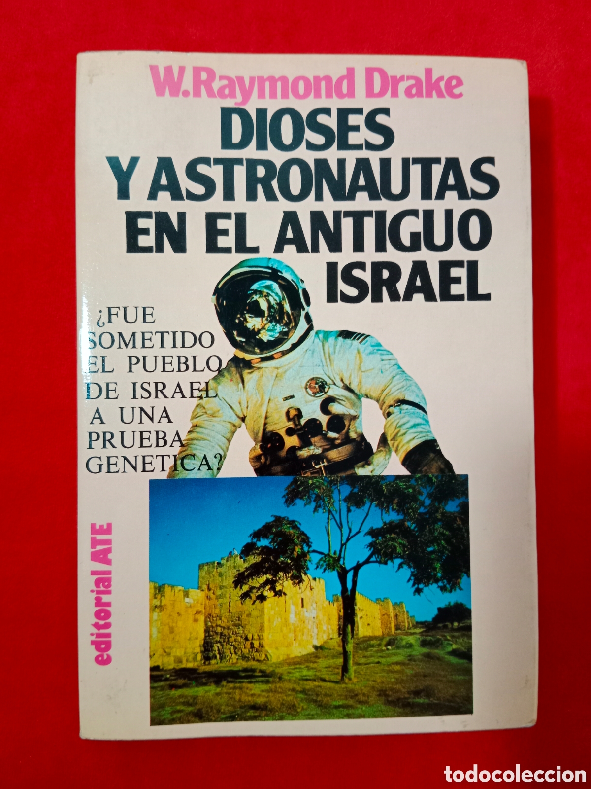Libros de segunda mano: DIOSES Y ASTRONAUTAS EN EL ANTIGUO ISRAEL, RAYMOND DRAKE