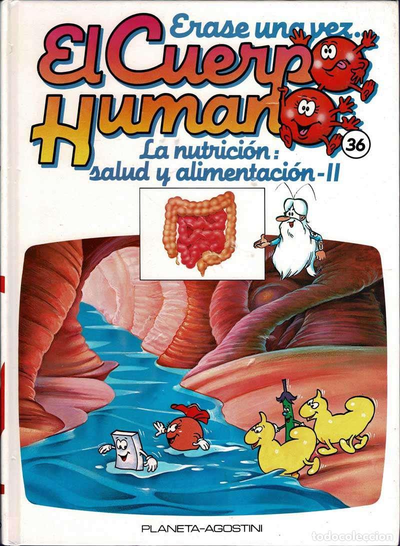 Libros de segunda mano: Erase una vez. El Cuerpo Humano. Tomo 36. La nutrici&oacute;n: salud y alimentaci&oacute;n II