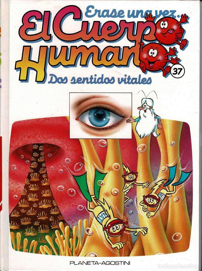 Libros de segunda mano: Erase una vez. El Cuerpo Humano. Tomo 37. Dos sentidos vitales