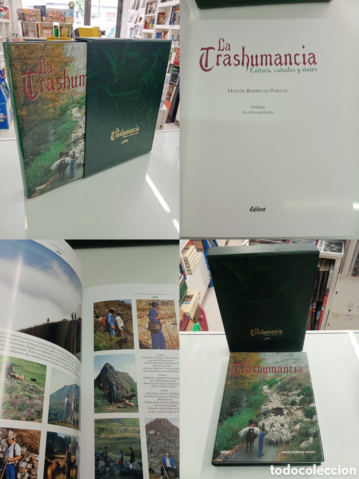 Libros de segunda mano: LA TRASHUMANCIA CULTURA CA&Ntilde;ADAS Y VIAJES Manuel Rodr&iacute;guez Pascual Mesta Ganaderia Pastor Leon NUEVO