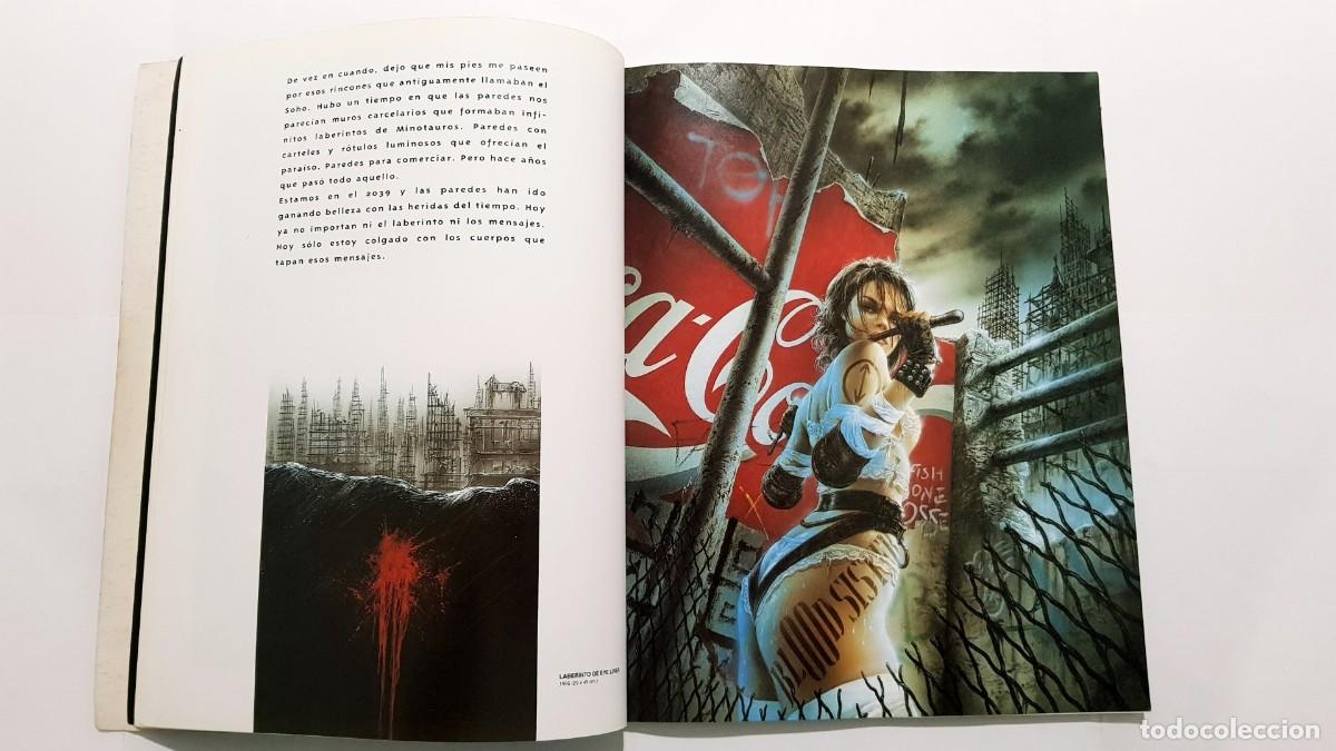 Libros de segunda mano: Libro de Ilustraciones III Millennium - Luis Royo - Norma Editorial - Foto 9