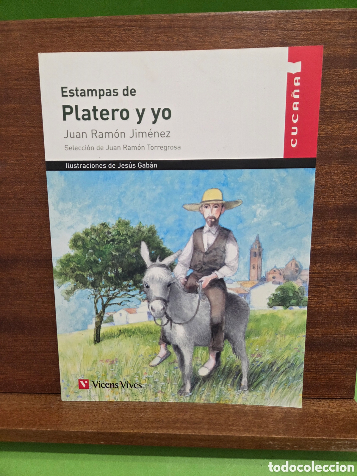 Libros de segunda mano: JUAN RAMON JIMENEZ...&rdquo;&rdquo;ESTAMPAS DE PLATERO Y YO&rdquo;&rdquo;...SELECCION DE JUAN RAMON TORREGROSA...2014...