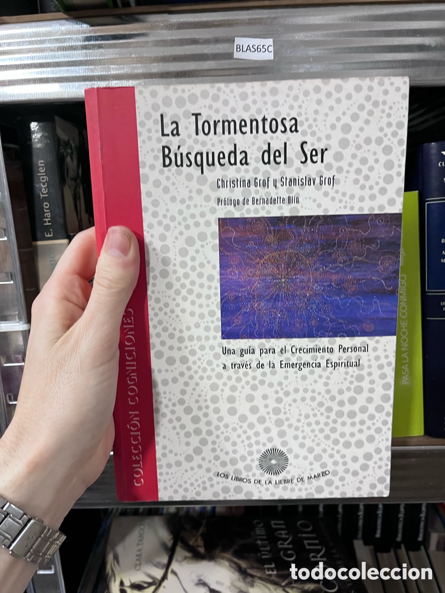 Libros de segunda mano: BLAS65C La Tormentosa B&uacute;squeda del Ser Christina Grof y Stanislav Grof Pr&oacute;togo de Bernadette Blin