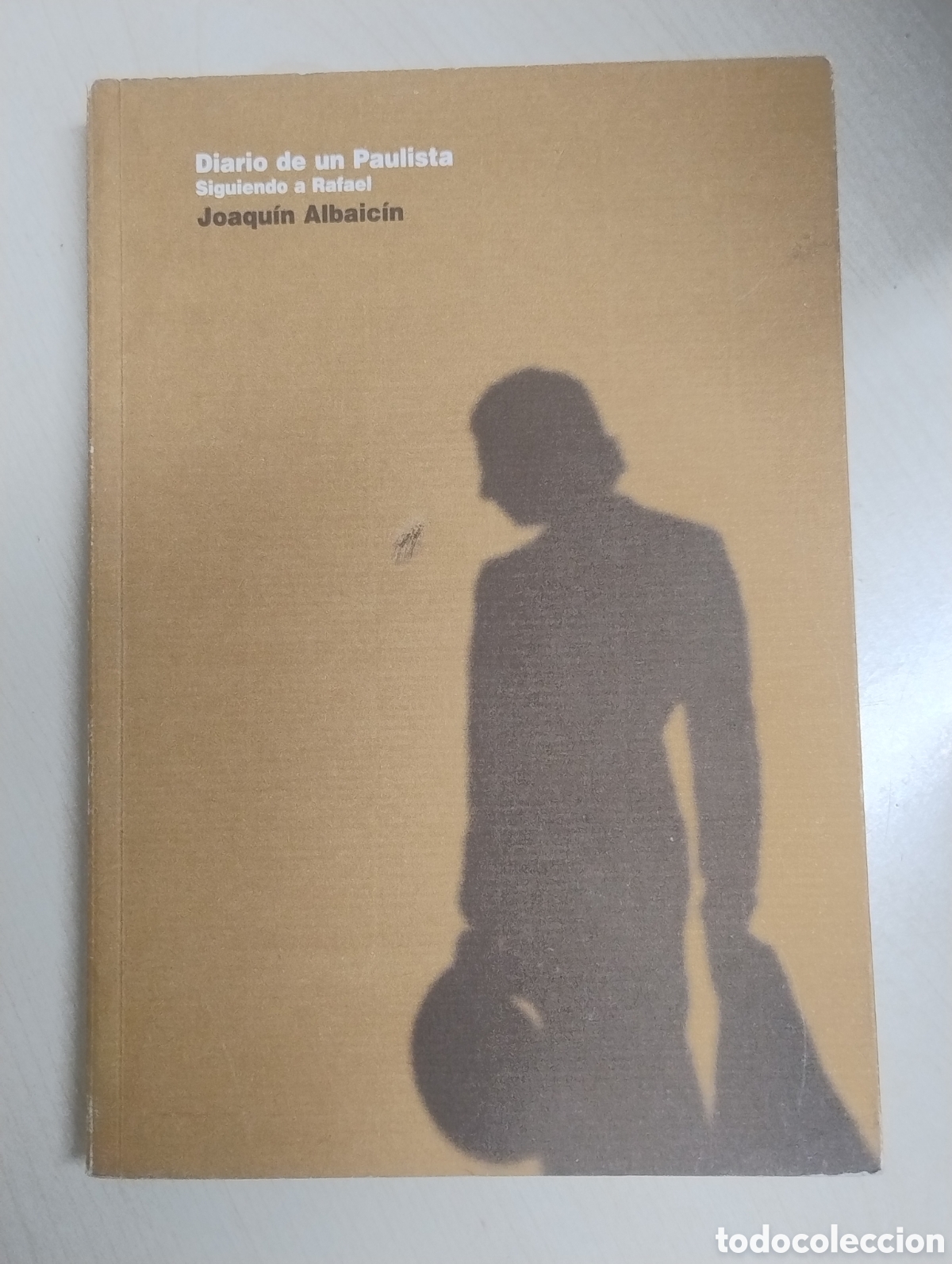Libros de segunda mano: Diario de un Paulista. Siguiendo a Rafael.