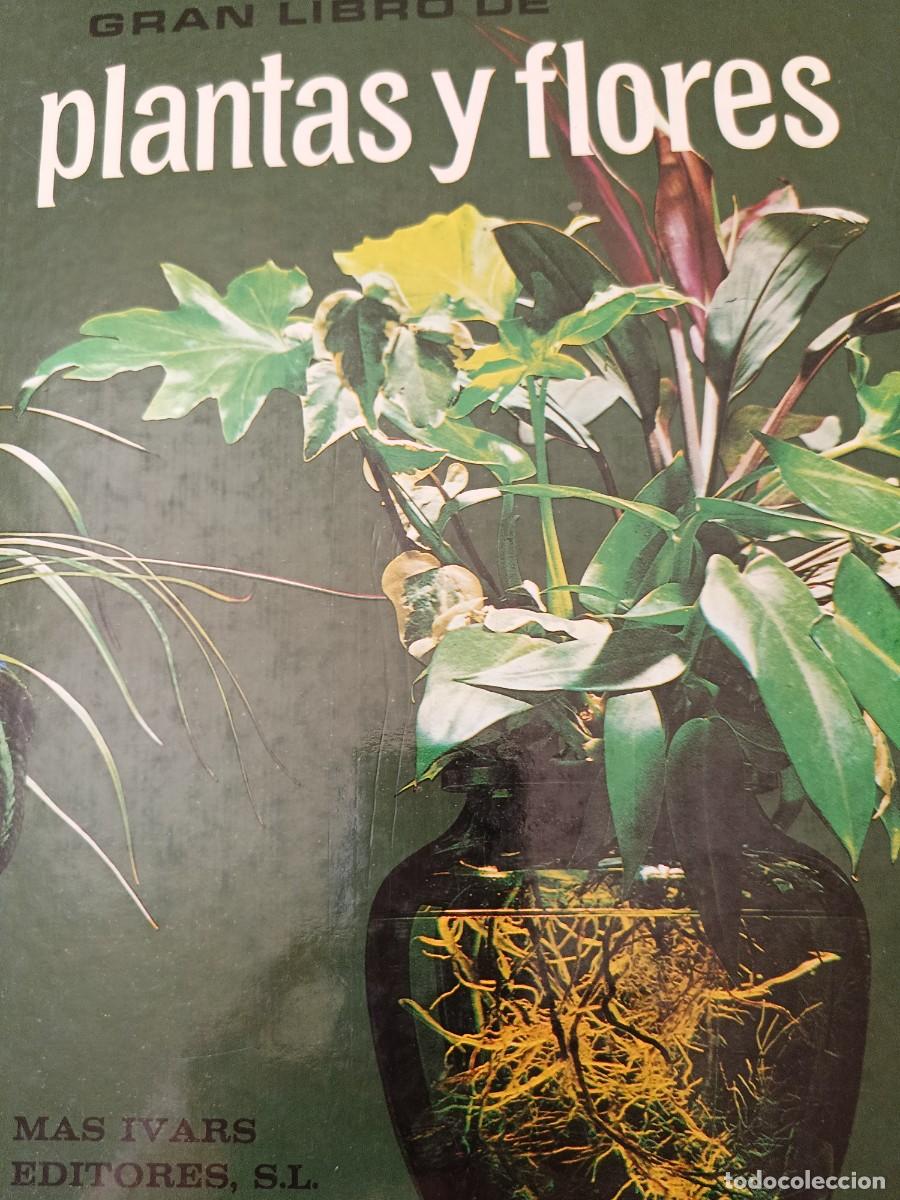 Libros de segunda mano: Plantas y Flores. Gran guia