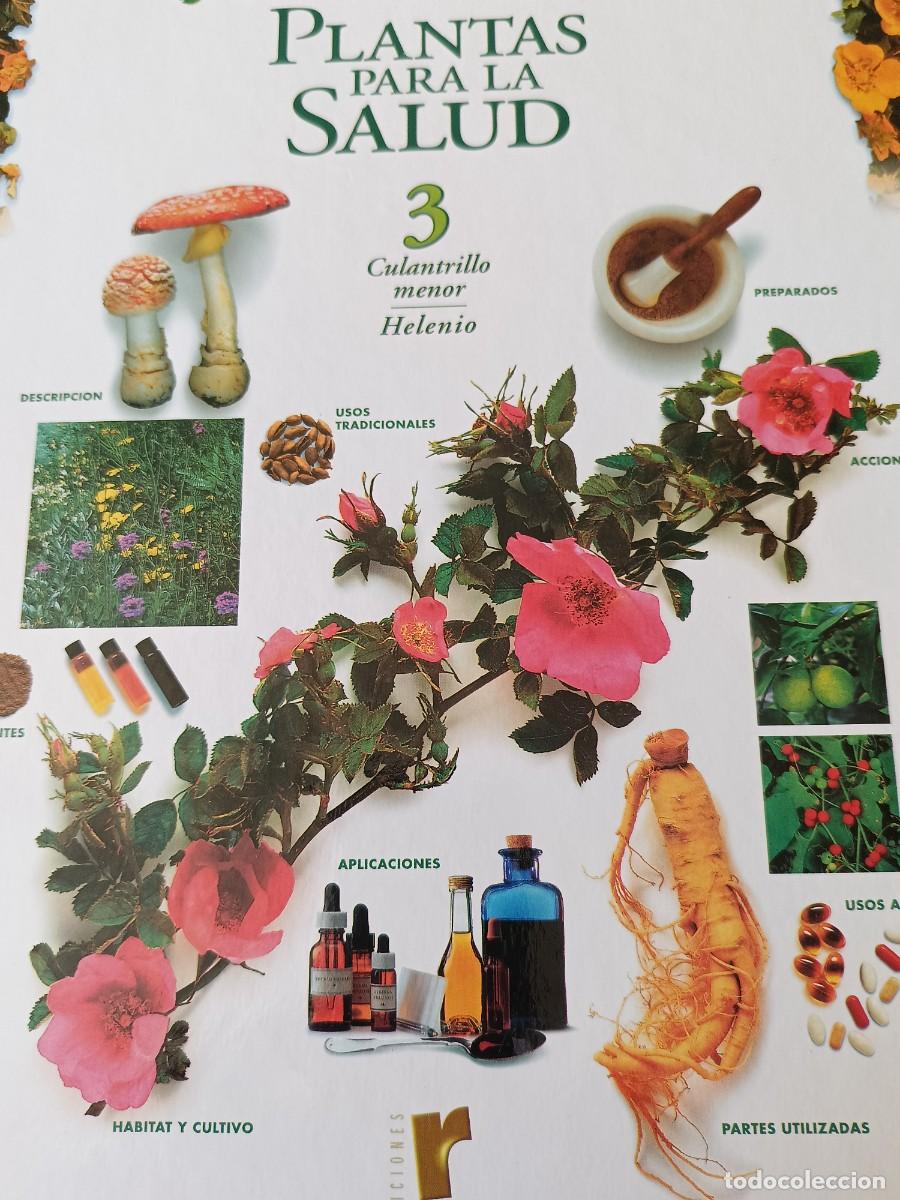 Libros de segunda mano: Gu&iacute;as de plantas medicinales. N&deg; 3