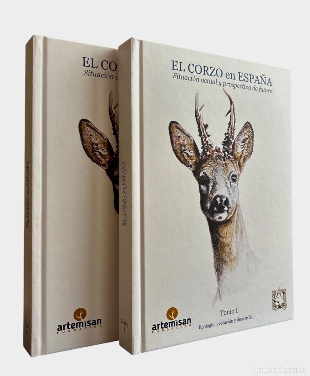 Libros de segunda mano: CORZO EN ESPA&Ntilde;A, EL. Situaci&oacute;n actual y prospectiva de futuro. (2 TOMOS).