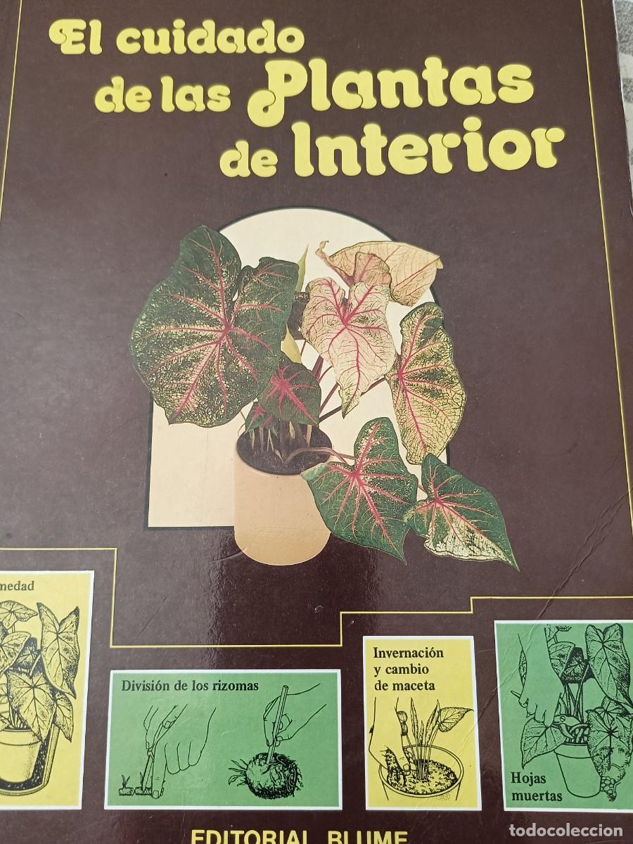 Libros de segunda mano: El cuidado de las plantas de interior