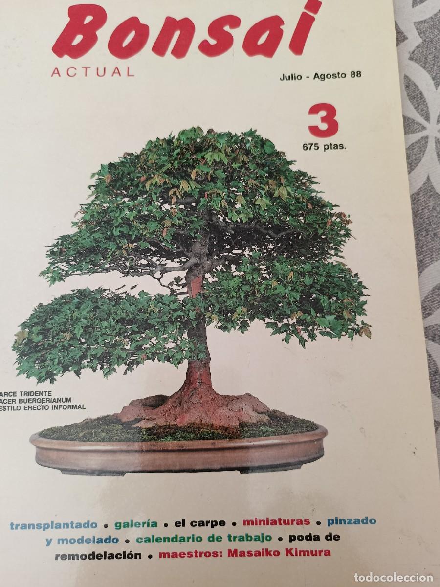 Libros de segunda mano: Bonsai. N&deg; 3 Agosto 88