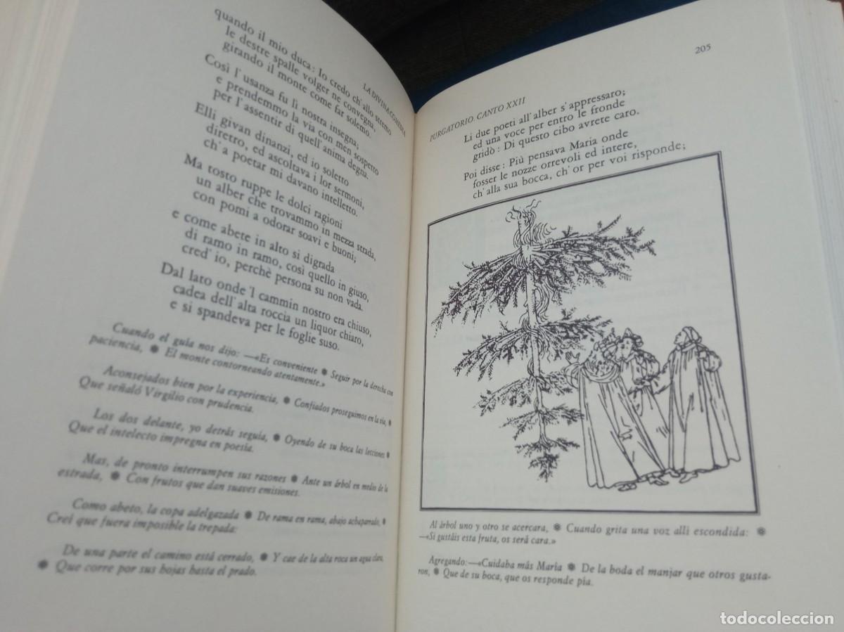 Libros de segunda mano: DANTE - LA DIVINA COMEDIA (3 VOL.). C&Iacute;RCULO DEL BIBLI&Oacute;FILO, 1975. - Foto 10