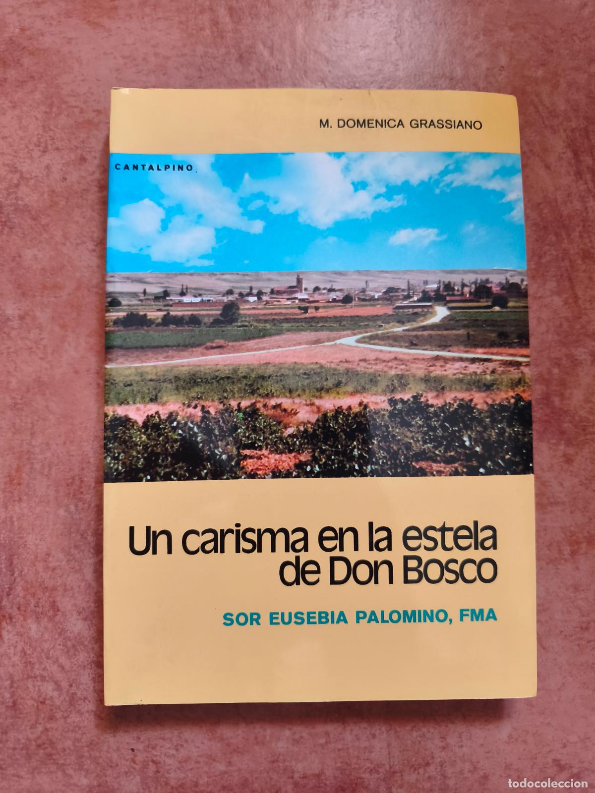 Libros de segunda mano: UN CARISMA EN LA ESTELA DE DON BOSCO - SOR EUSEBIA PALOMINO
